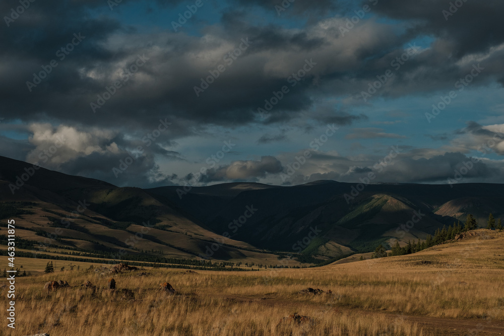 View of the Kurai steppes in the Altai Mountains