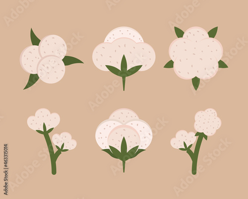 set of cotton flowers