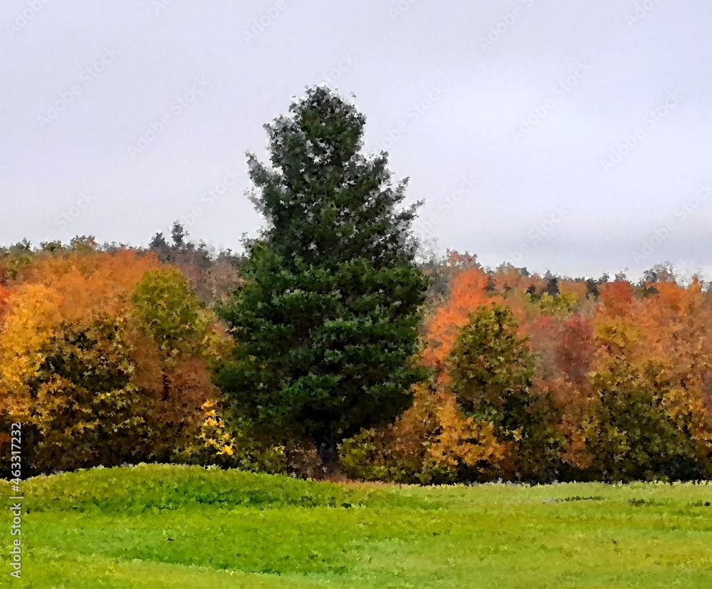 Fototapeta premium solo tree standing in front of color changing autumn forest