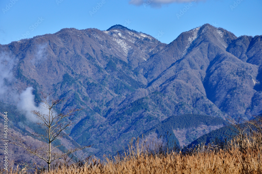 丹沢の大野山より檜洞丸を望む 丹沢 大野山より左から石棚山、テシロノ頭、檜洞丸、同角ノ頭 丹沢の大野山より檜洞丸を望む 丹沢 大野山より左から石棚山、テシロノ頭、檜洞丸、同角ノ頭