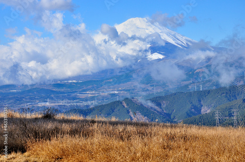 丹沢の大野山より 晴れ行く空に聳える富士山 大野山の山頂は広く、多くの登山者が休憩できる場所。位置を変えれば360度の展望を楽しめる素晴らしいロケーションの山。西に富士山を間近に望み、北東に御正体山や西丹沢の檜洞丸から丹沢山までが爽快に連立し、南には箱根山が望める。また大野山の東側となりの小高い場所は、大野山乳牛育成牧場で民営の牧場がある。