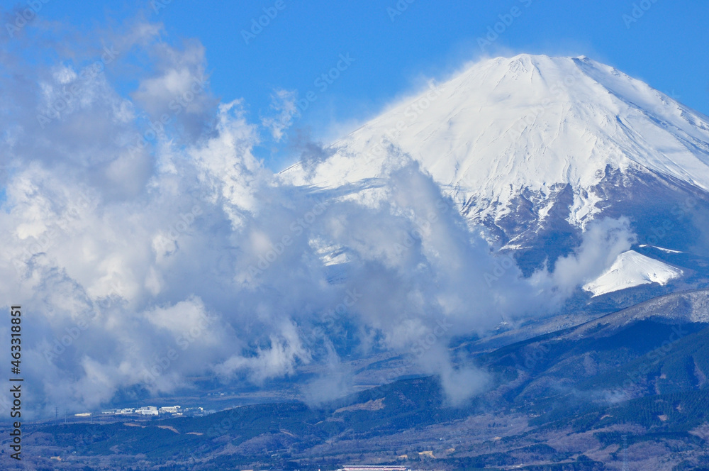 丹沢の大野山より　雲棚引く富士山