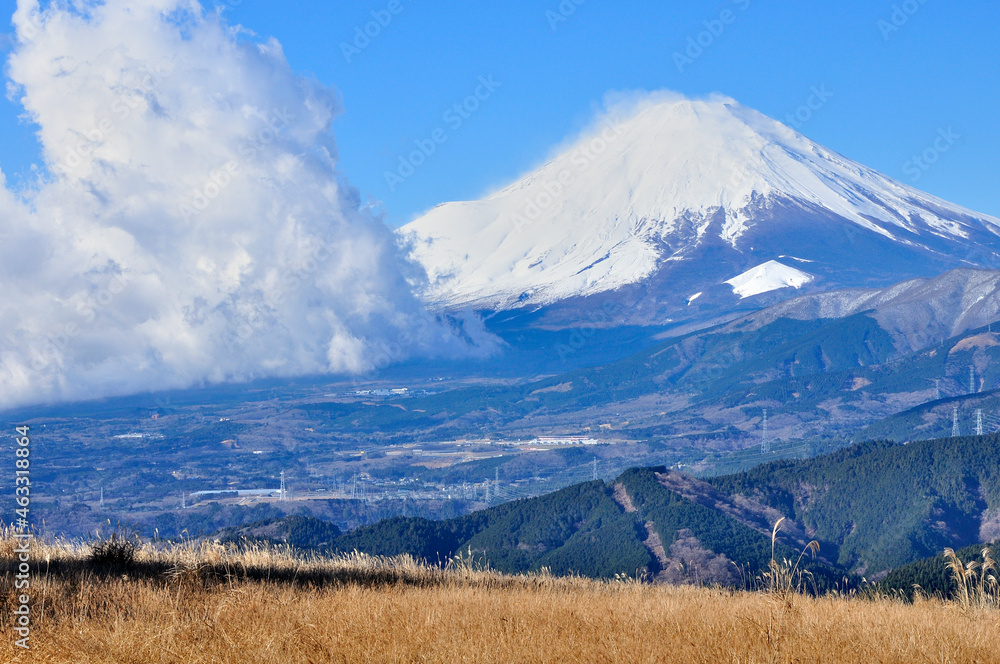 Fototapeta premium 丹沢山地の大野山より雲湧く富士山を望む
