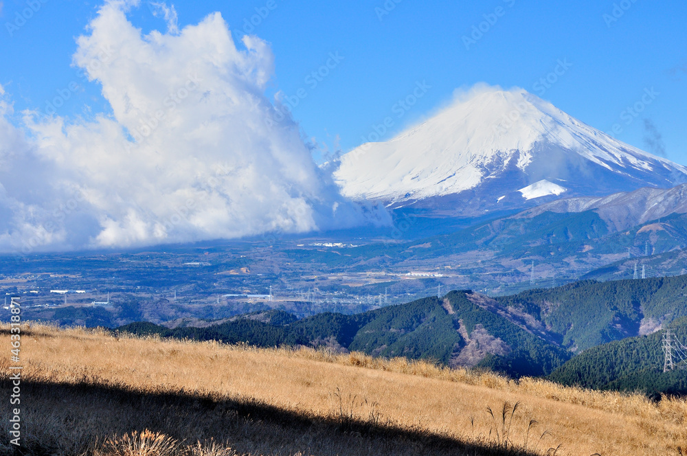 Fototapeta premium 丹沢山地の大野山より雲湧く富士山を望む
