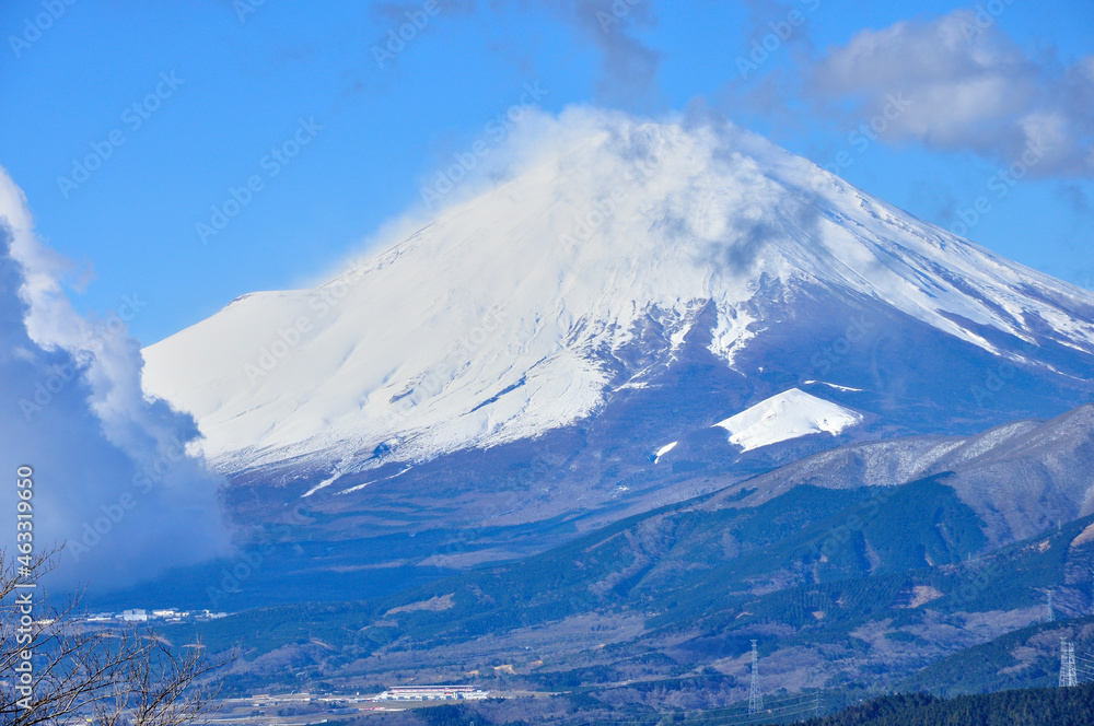 丹沢の大野山より　雲湧く富士山