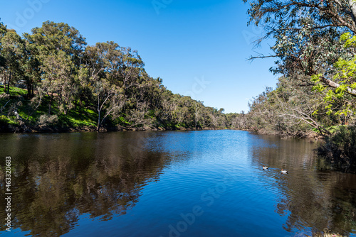 Trees and landscapes along the Blackwood River in the southwest of Western Australia