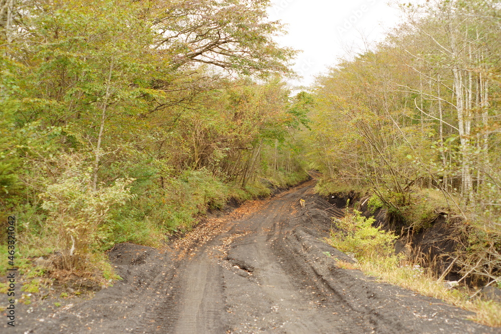 Fototapeta premium It feels like Autumn has arrived!