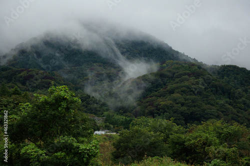 fog in the mountains