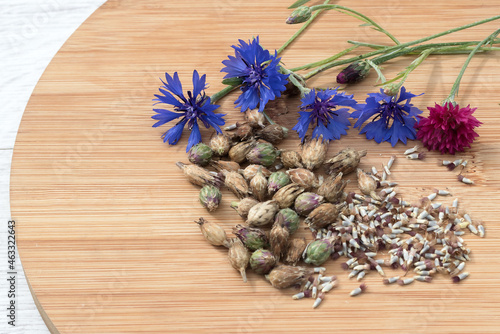 Collected seeds of annual cornflowers for drying and sowing for the next summer season. 