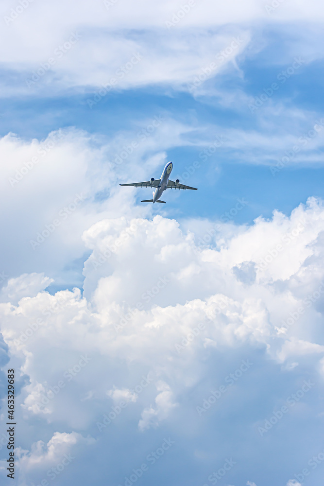 Obraz premium 入道雲と飛行機