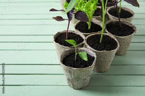 Plants seedlings in peat pots on color wooden background