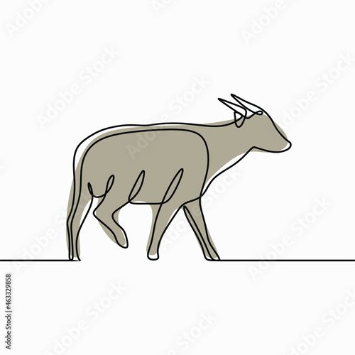 Anoa animal oneline continuous line art