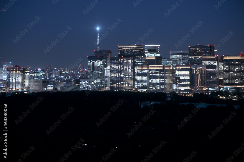 Palace, Office buildings, Tokyo Skytree in night　皇居
大手町