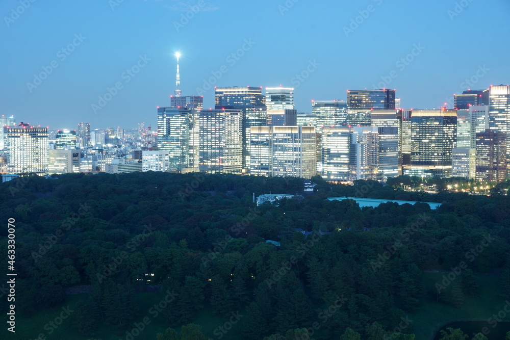 Naklejka premium Palace and Tokyo、東京、大手町、スカイツリー、皇居