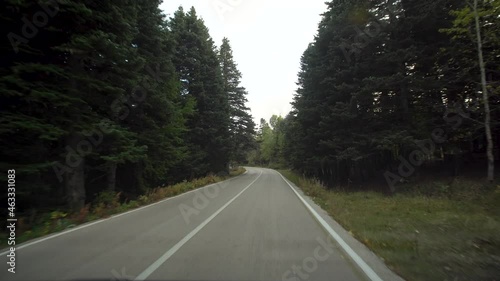 View taken from the front of the vehicle moving on the road surrounded by green pine forests. 