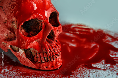 Bloodstained human skull on...
