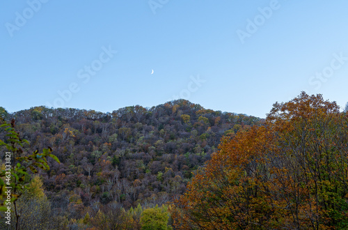 autumn forest in the mountains, moon