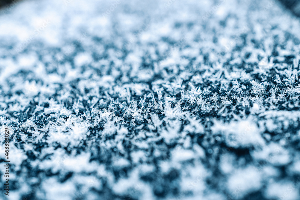 Obraz premium Frosting macro. Cold snow winter background. Blue crystal frozen abstract pattern. White frost ice texture.