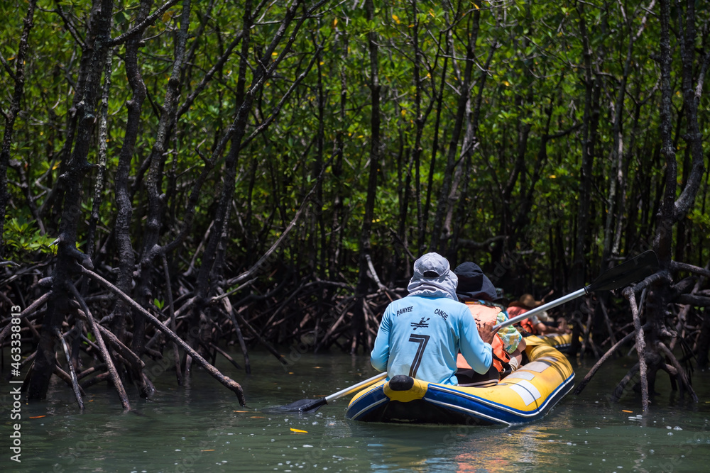 canoe to mangrove forest sea, Phang Nga
