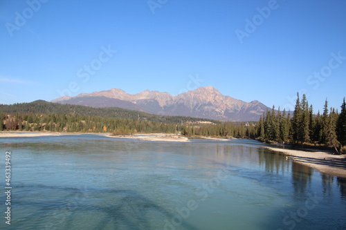 Wild Kingdom, Jasper National Park, Alberta