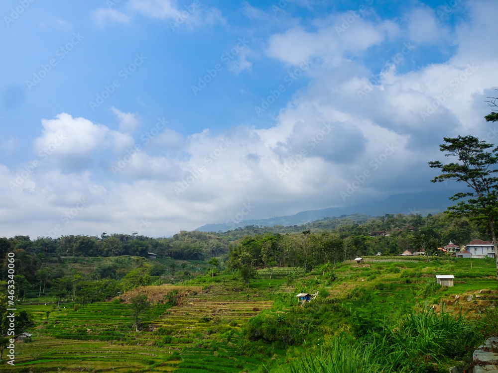 A green hill view with many plantations and rice fields that stretch widely. the cloudy sunny weather with blue sky.