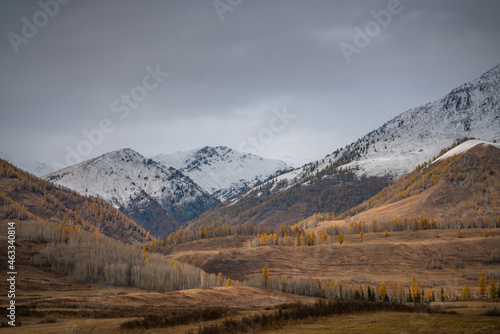 Autumn landscape of the mountains and forest in Kanas, Xinjiang province, China.