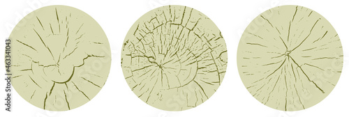 Set of circle wood texture,...