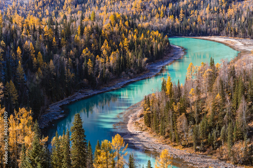 Autumn landscape of Kanas river and forest, in Xinjiang province, China. photo