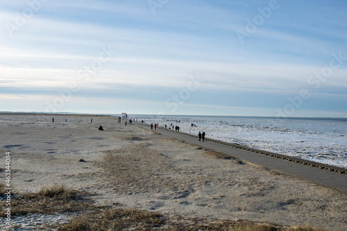 beach and sea