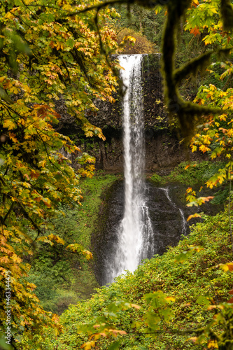 Fall Color in Oregon Forest at Silver Falls State Park Waterfall