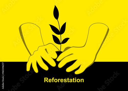 Hands planting a tree