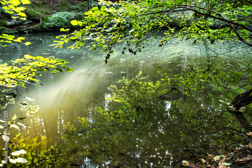 Landschaft Bayern  N  rnberg  Langwasser 