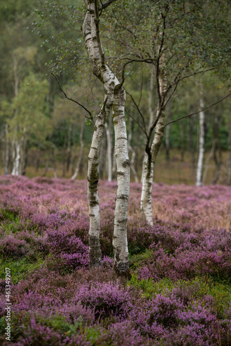 Gorgeous landscape image of...