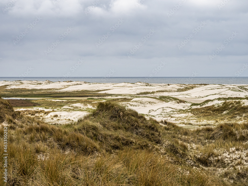 Sand dune landscape called Ladder to heaven on the island of Amrum, Germany.