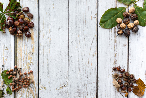 Chestnuts, nuts and leaves on a wooden, white background, vintage style