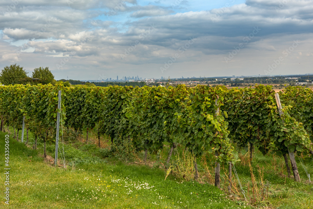 View from the Floersheimer viewpoint on Frankfurt and the Rhein Main plain, Germany