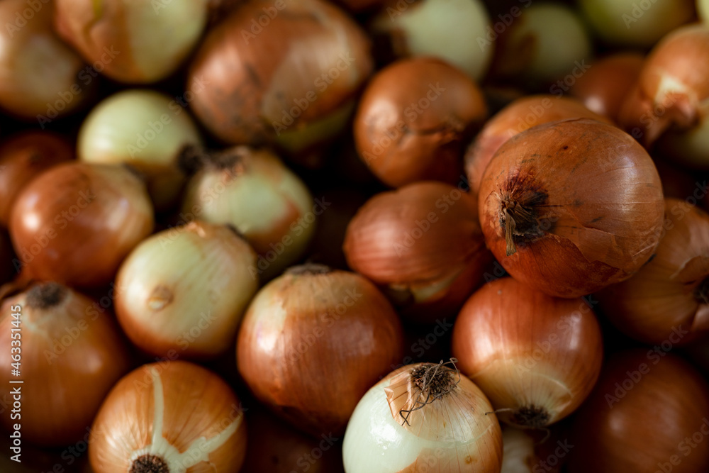 Beautiful picture of fresh onions Beautiful picture of fresh onions