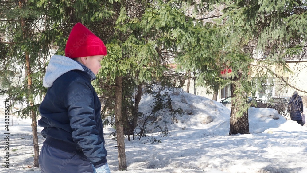 custom made wallpaper toronto digitalboys on skis in winter forest. Little boy in red winter hat and clothes having fun with snow. Active outdoors leisure with children in winter. Kid during stroll in a snowy winter park