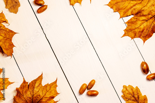Autumn, autumn creative composition of autumn leaves. 