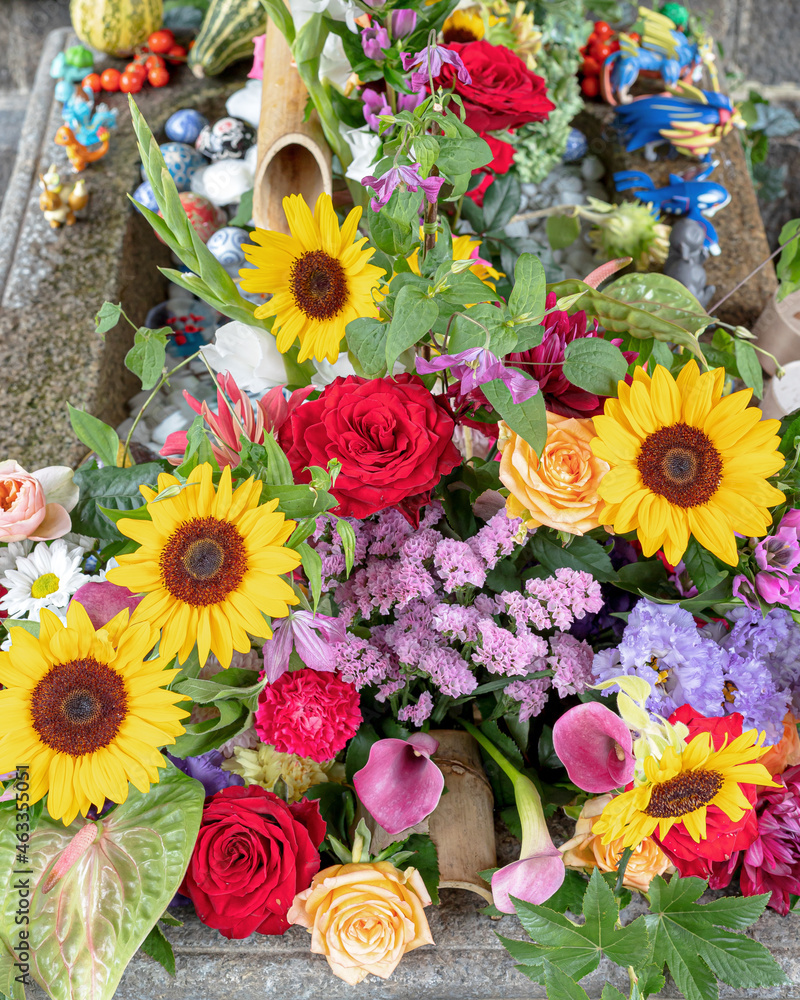 Obraz premium Lots of beautiful color flowers