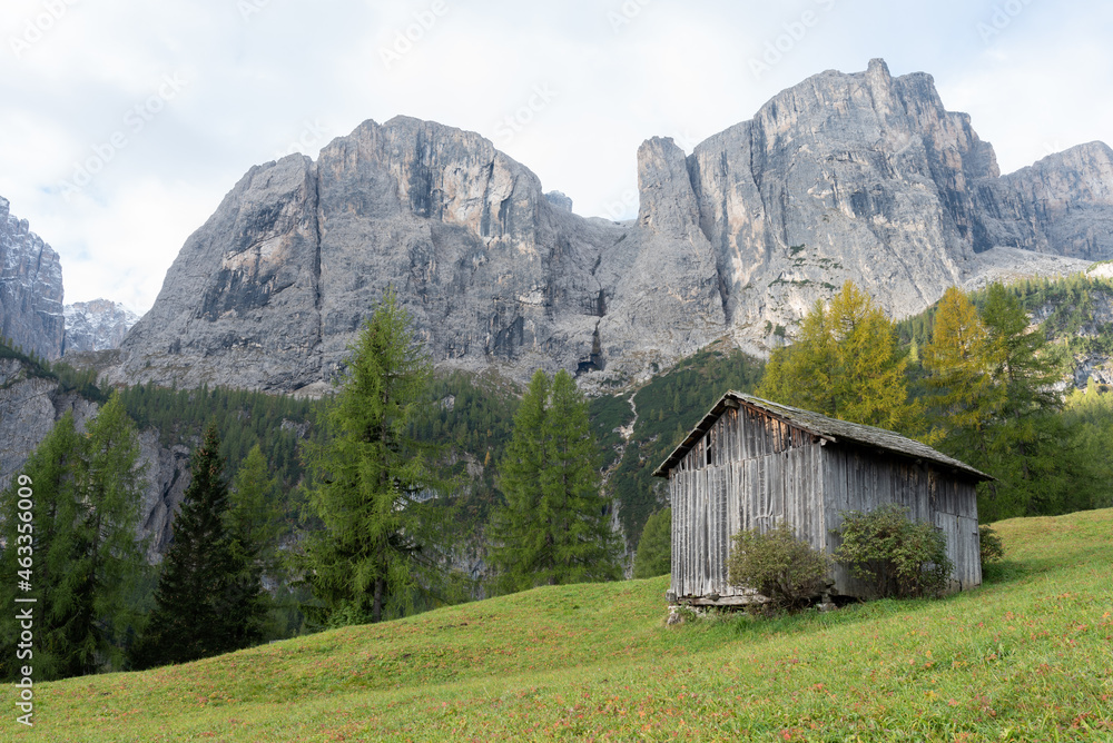 Old wooden cabin in the green meadows, under the awesome mountain, in Italian alps. Countryside and rural nature concept.