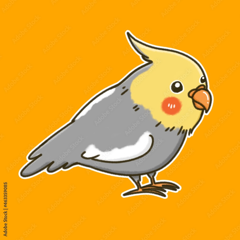 Cockatiel​ bird cartoon illustration design