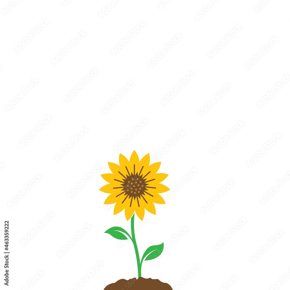 Obraz premium Sunflower icon vector illustration design template