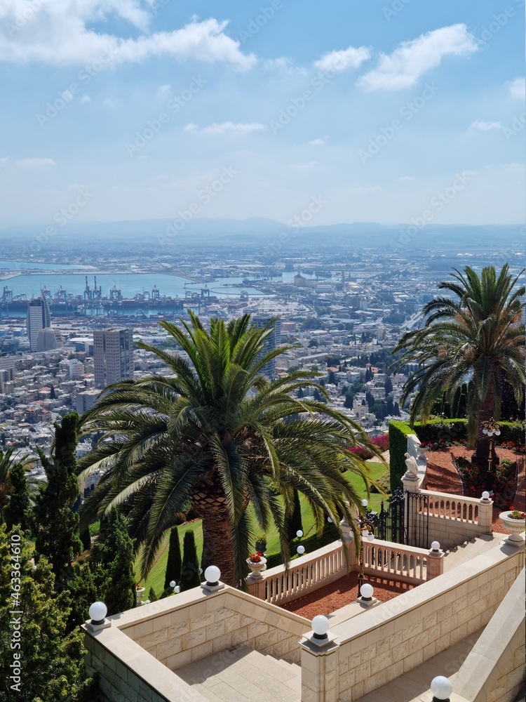 Fototapeta premium Bahaii gardens palms