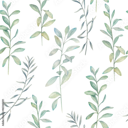 Watercolor seamless pattern with eucalyptus branches . Hand drawn illustration