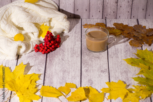warm autumn mood, mountain ash on the table