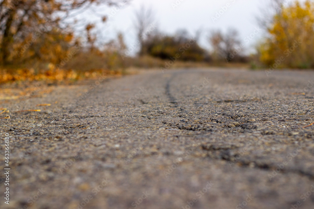Autumn asphalt road background Autumn asphalt road background
