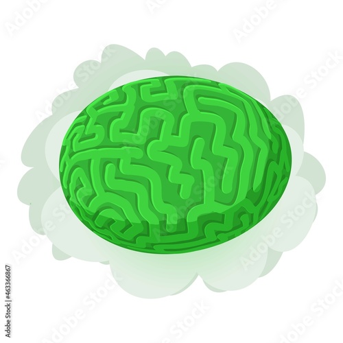 Brain coral icon isometric vector. Green diploria labyrinthiformis. Massive hard green coral colpophyllia, underwater world photo