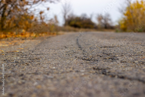 Autumn asphalt road background