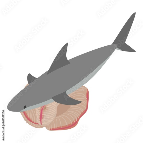 Underwater world icon isometric vector. Big gray shark and beautiful coral reef. Marine environment, sea animal photo